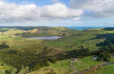 New Zealand: Auckland countryside
