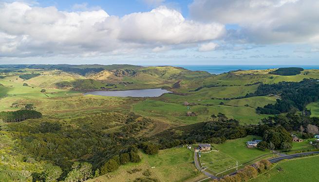 New Zealand: Auckland countryside