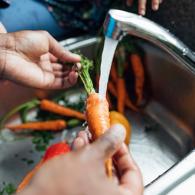 Washing carrots in the sink