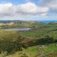 New Zealand: Auckland countryside